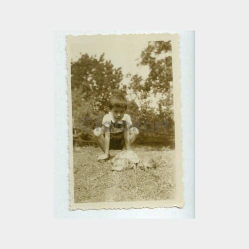 1936 Çocuk ve Kablumbağalar Fotoğraf