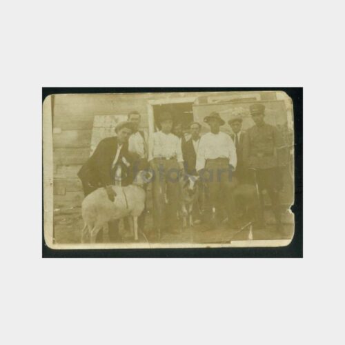 1929 Kurbanlık Koyun Satış Yeri Fotoğraf
