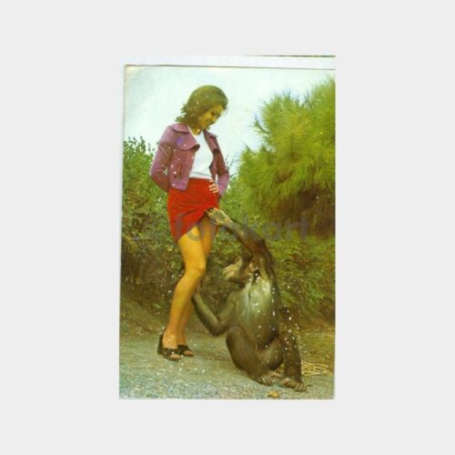 1970 Fantezi Kadın ve Şakacı Maymun Kartpostal