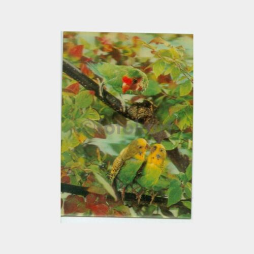 1970 Muhabbet Kuşları - Üç Boyutlu Kartpostal