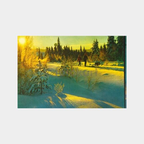1975 Sarıkamış Kar Manzarası Görünüş Kartpostal