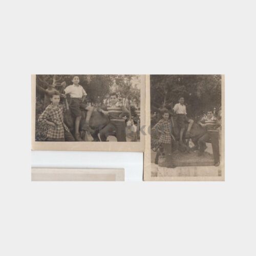1955 Taksim Gezi Parkı Geyik Heykeli Konulu 2 Adet Fotoğraf