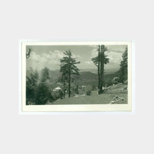 1948 Toroslar Yayla Köyleri Görünüş Fotoğraf