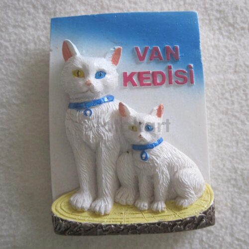 Van Konulu Magnet