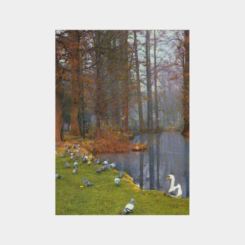 yildiz-parki