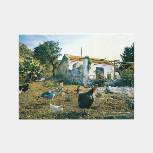 akdeniz-koy-evi-02