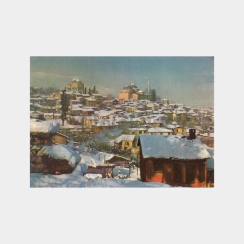 bursa