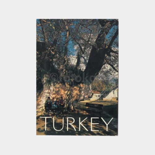 bursa
