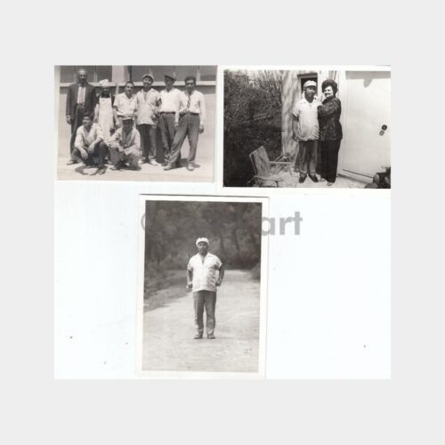 buyukada-fayton-2