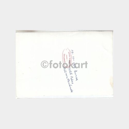 celik-palas-2