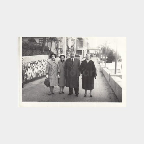 celik-palas