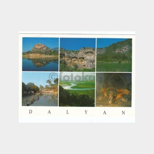 dalyan