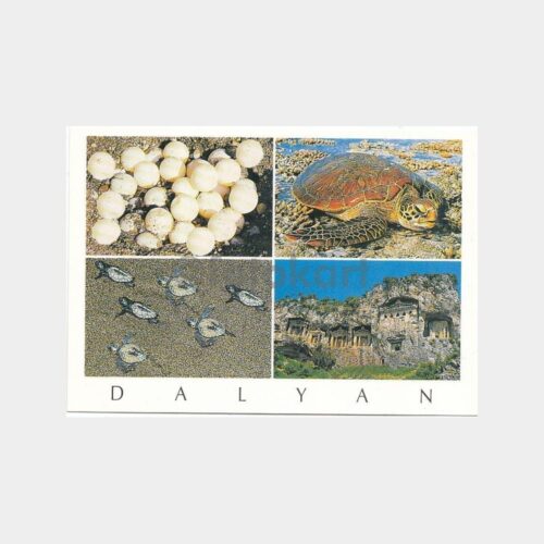 dalyan