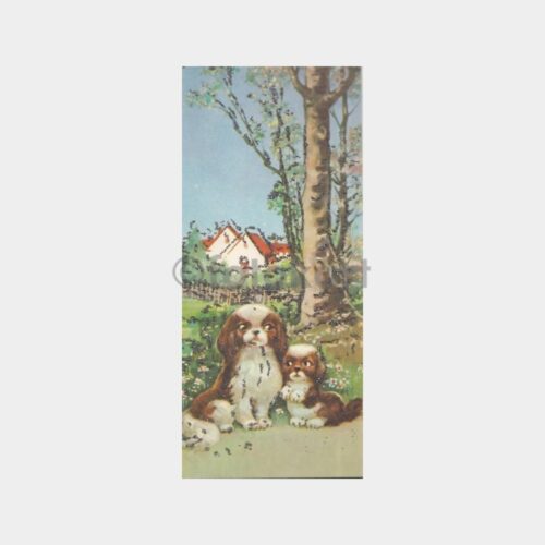 fantezi-tebrik
