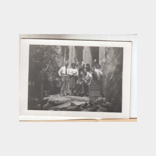 pangalti-aile