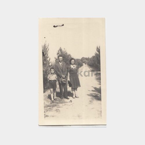 park-aile