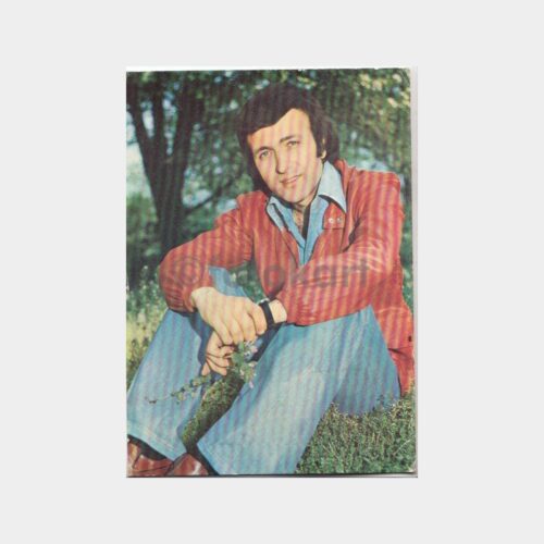 erol-evgin