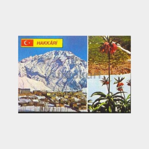 Hakkari Kış ve Ters Lale Çiçeği Kartpostal