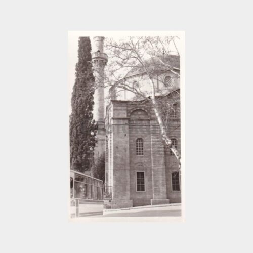 cami-avlusu