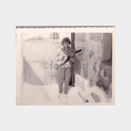 mandolin