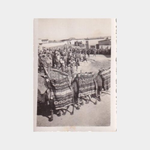 anadolu-kervan