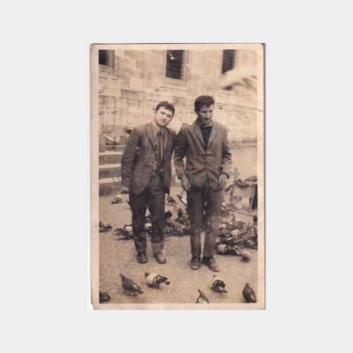 eminonu-guvercin