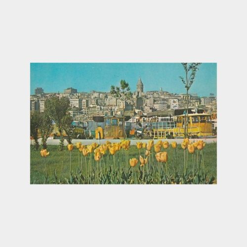 halic