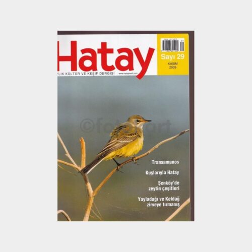 hatay-dergi-2009-29