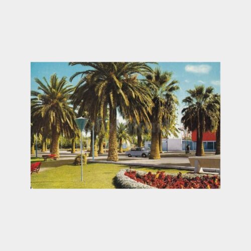izmir-fuar-palmiye
