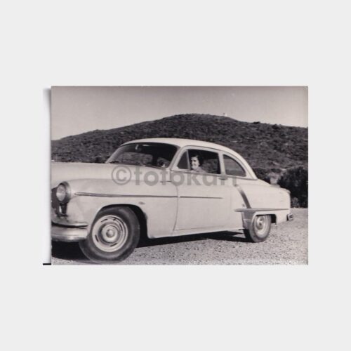 otomobil-sofor