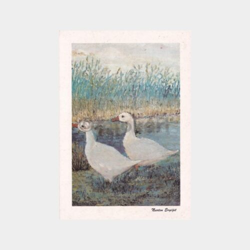 ressam-kazlar