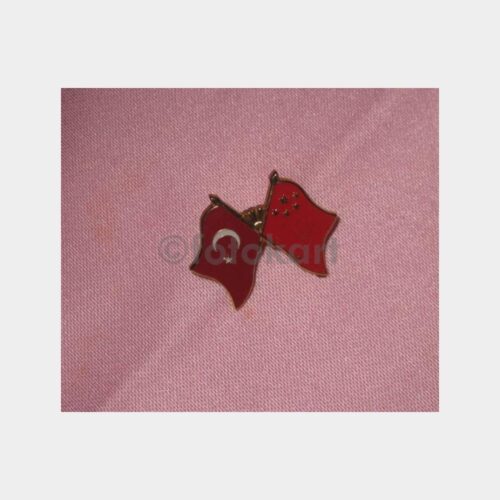 Türk İkili Bayrak Konulu Rozet