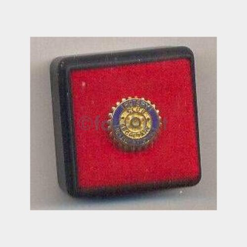 Rotary Özel Rozeti