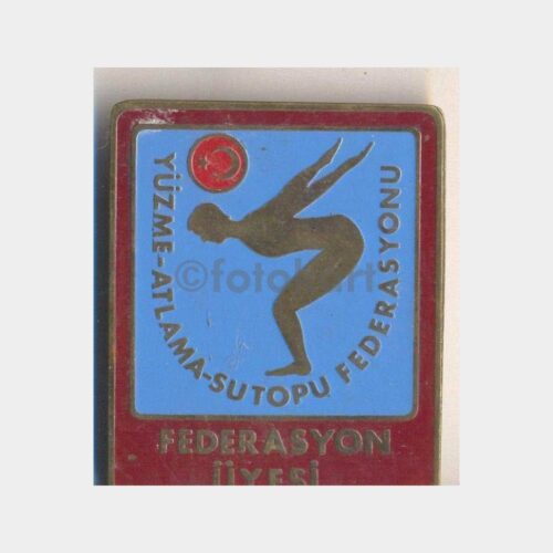 Yüzme Federasyonu - Beynelmilel Hakem Rozeti