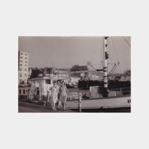 sahil-gezi