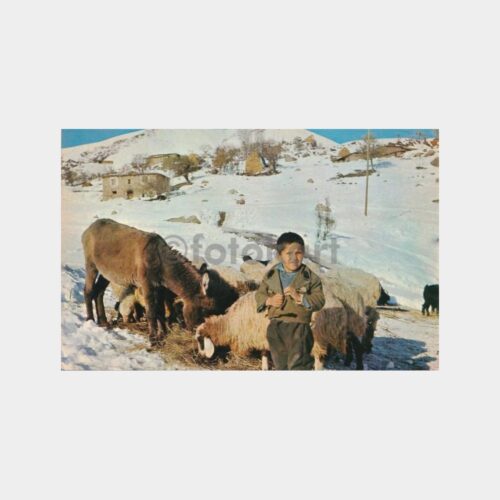anadolu-koy-yasami