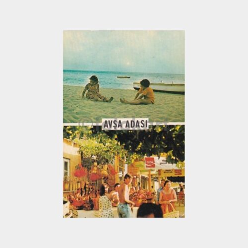 avsa-adasi
