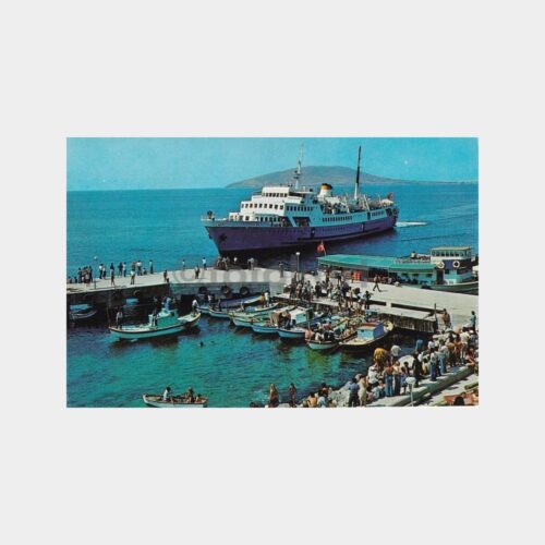 avsa-adasi