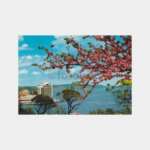 bogazici-tarabya