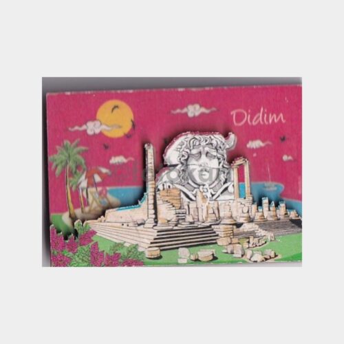 didim-magnet-03