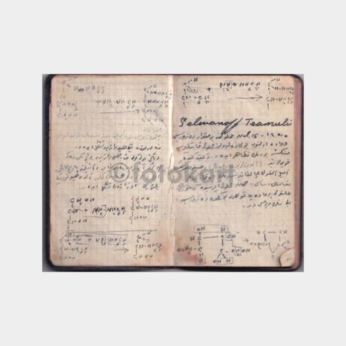 eczaci-defter-2