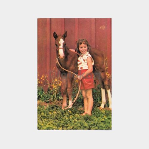 fantazi-kart-23