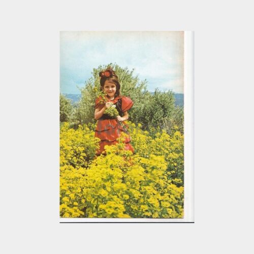 fantazi-kart-69