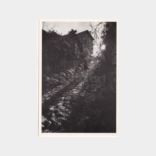 ara-guler-07