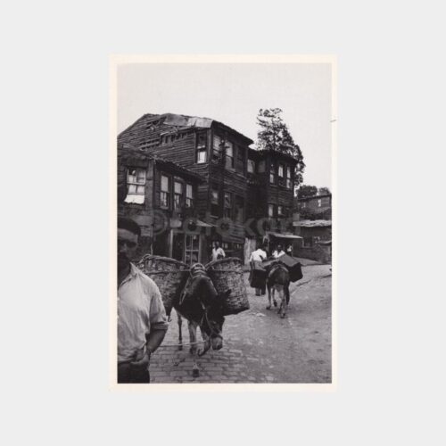 ara-guler-09