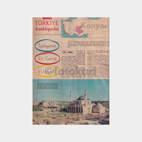 hayat-konya