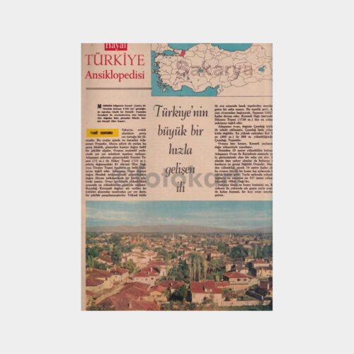 hayat-sakarya