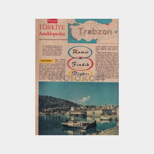 hayat-trabzon