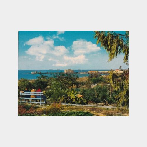 kibris-baf