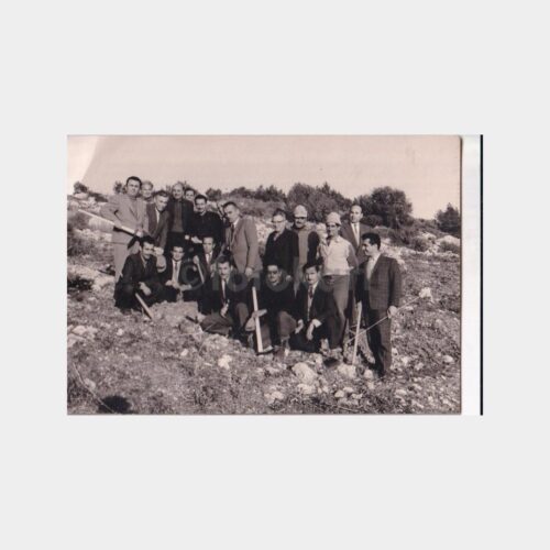 orman-muhendis